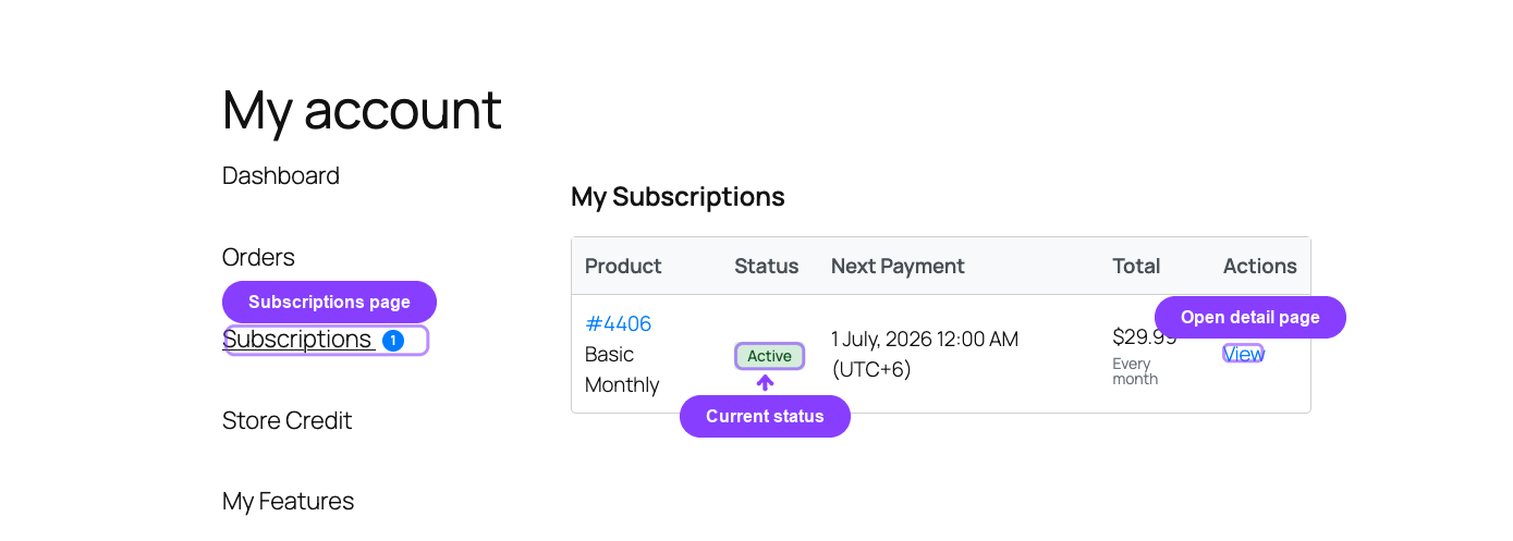 My Subscriptions page with status and View action