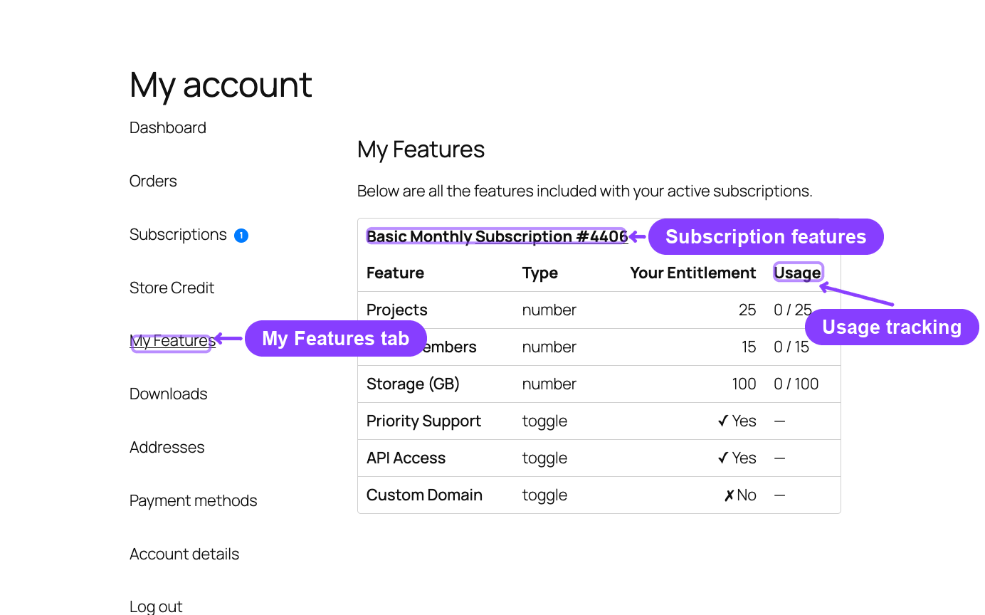 My Features page with entitlements and usage tracking