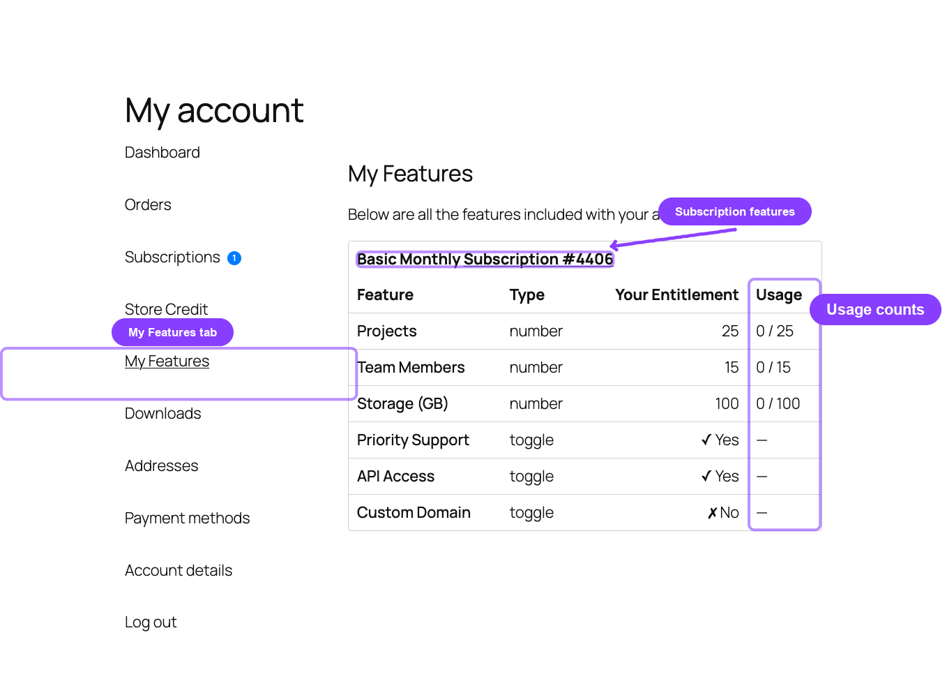 Customer My Features page with entitlements and usage