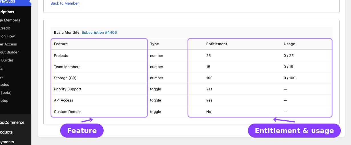 Feature Log — customer entitlement table