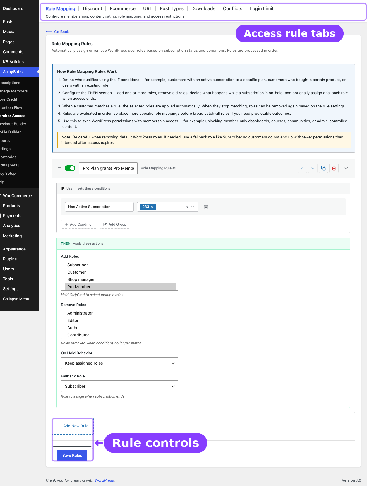 Member Access — role mapping overview with tab bar and rule controls
