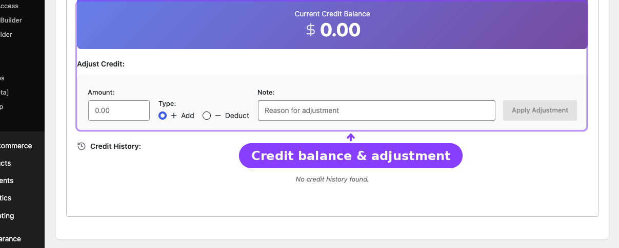 Store Credit page scoped to selected customer — balance and adjustment form