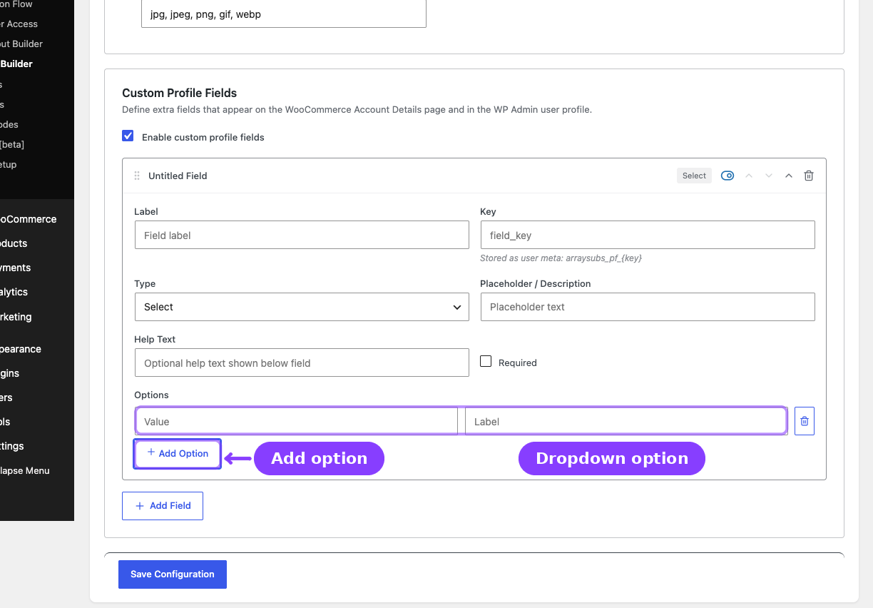 Select field — Options inputs and Add Option button