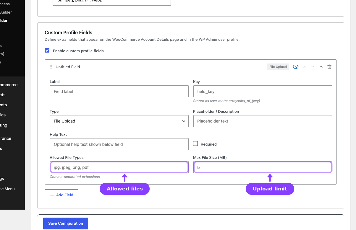 File Upload field — Allowed files and upload size limit