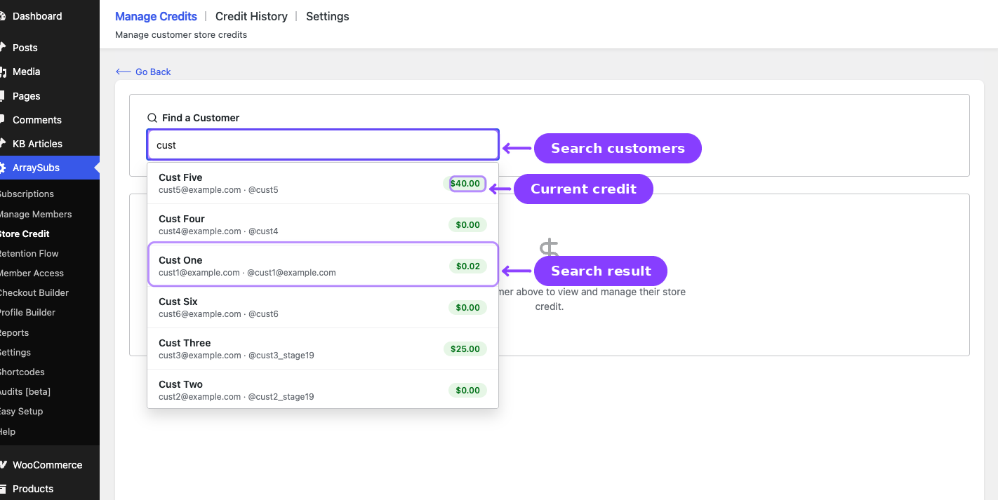 Store Credit management — customer search results dropdown with balance badges