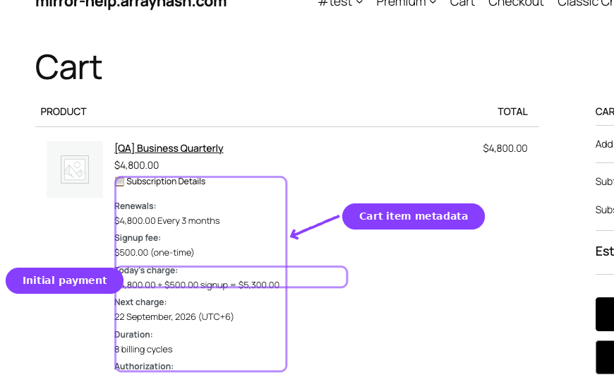 Cart subscription line item — Subscription Details metadata block and initial payment row